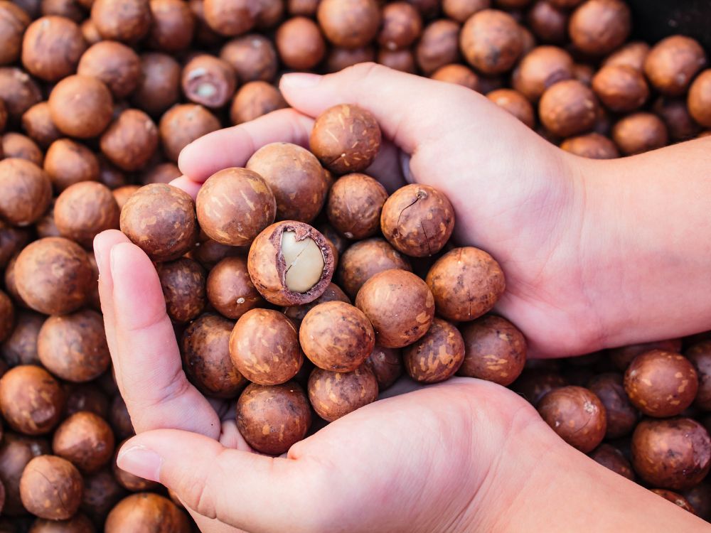 Hỗ trợ sức khỏe sinh lý